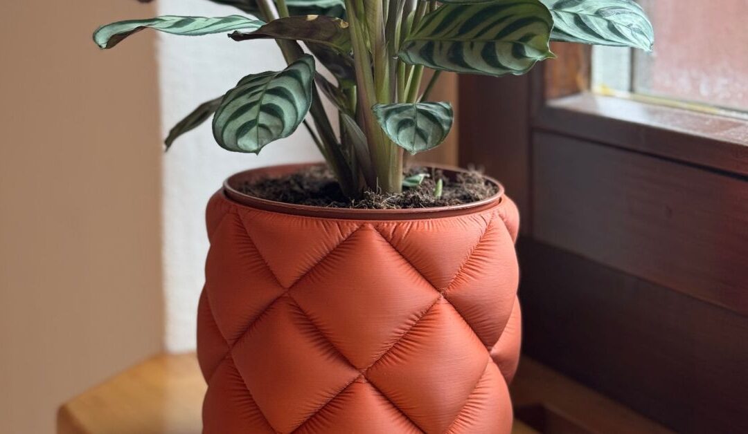 Vasen 3D Druck, die alle Blicke auf sich ziehen