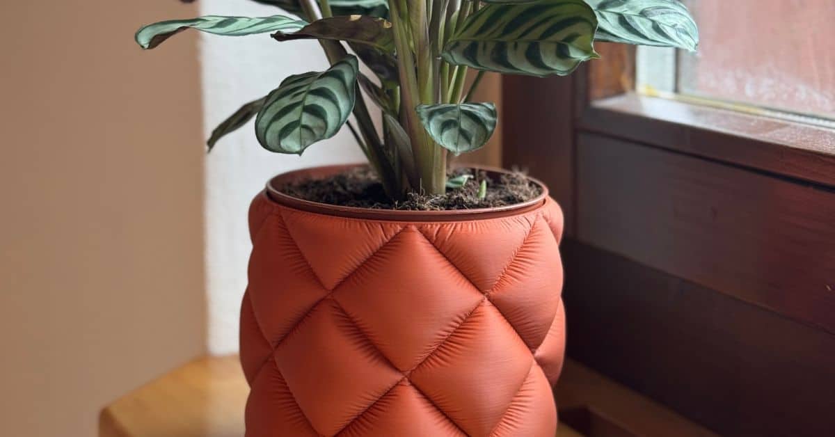 Vasen 3D Druck, die alle Blicke auf sich ziehen