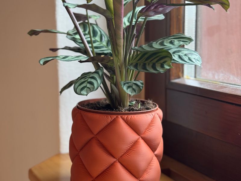 Vase 3D Druck Moderne Vase aus dem 3D-Drucker mit eleganten Rillen und Trockenblumen auf einem Holztisch