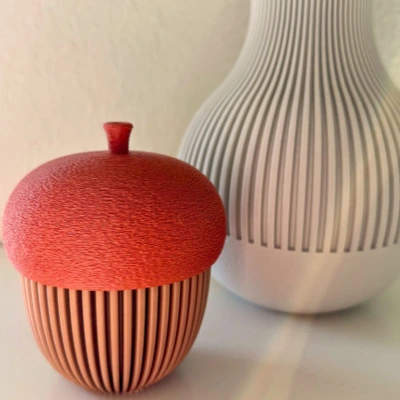 Herbstdeko 3D-Druck – Eichel-Box als stilvolle DIY-Deko 3D-gedruckte Herbstdeko in Form einer Eichel aus PLA – kombiniert mit einer modernen Vase im skandinavischen Stil. Perfekt als nachhaltige Herbstdekoration aus dem 3D-Drucker.